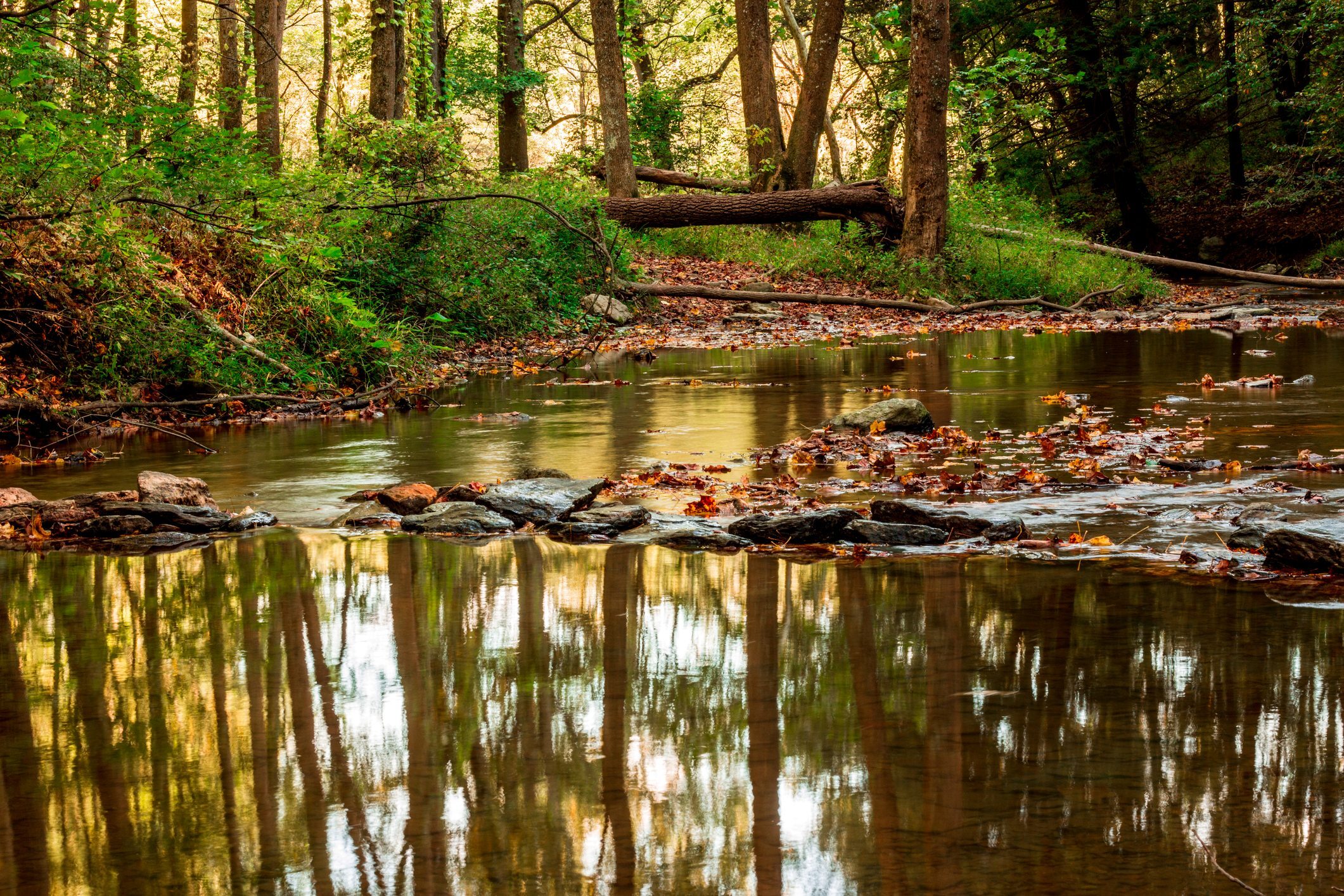 HeartLands Senior Living at Ellicott City Featured Image